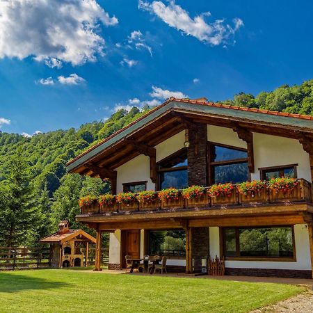 Zărneşti Avalanche Plaiul Foiiヴィラ エクステリア 写真