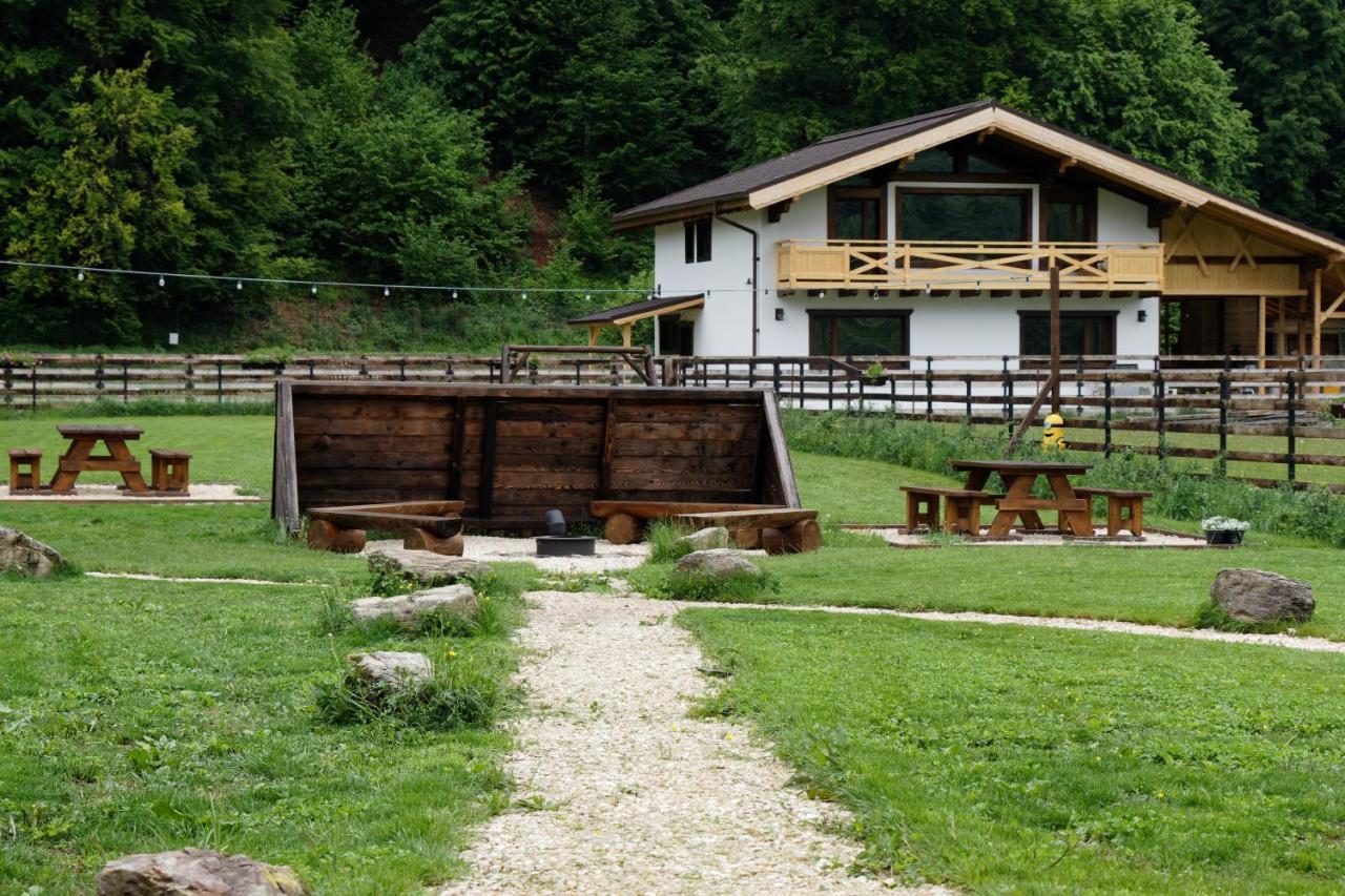 Zărneşti Avalanche Plaiul Foiiヴィラ エクステリア 写真